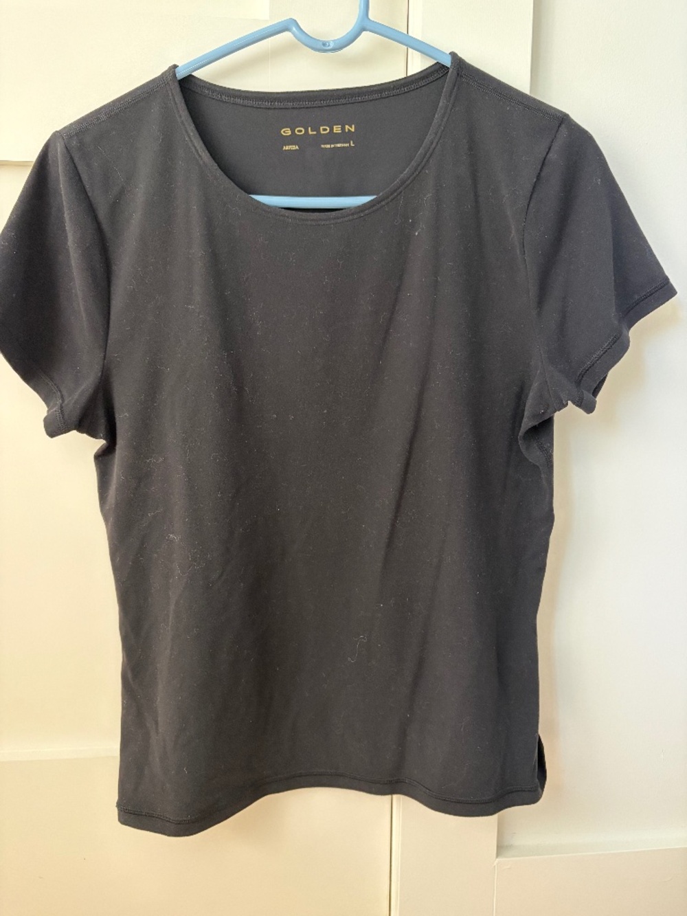 Title: Aritzia Golden T-Shirt Size L Black Basic Tee